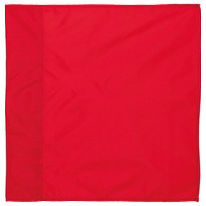 Proact PA087 - BANDERA Rojo