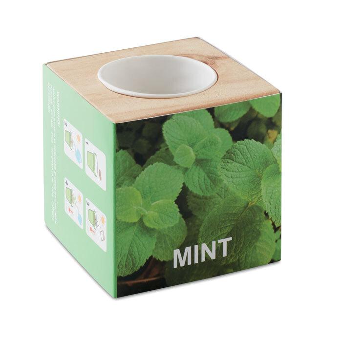 GiftRetail MO9337 - MENTA Maceta con semillas de menta