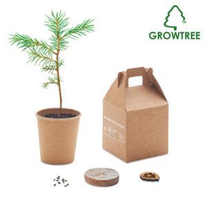 GiftRetail MO6228 - GROWTREE™ Set pino